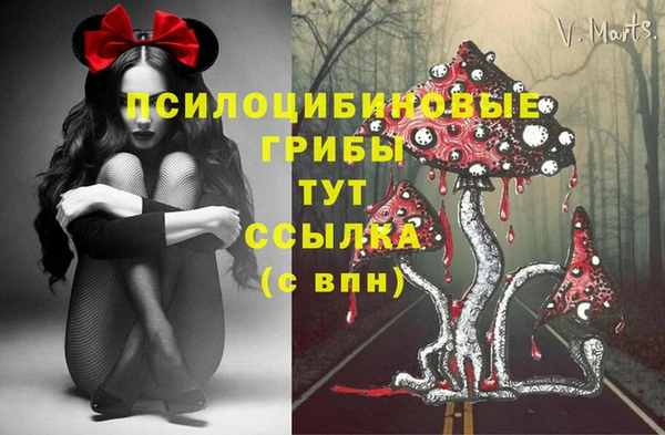 винт Алексин