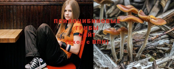 винт Алексин