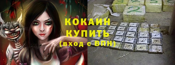 прущие грибы Алексеевка
